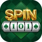 Spin 101