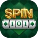Spin 101